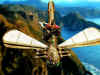 AtlDrgFly.jpg (27977 bytes)